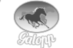 Galopp Pferdefutter