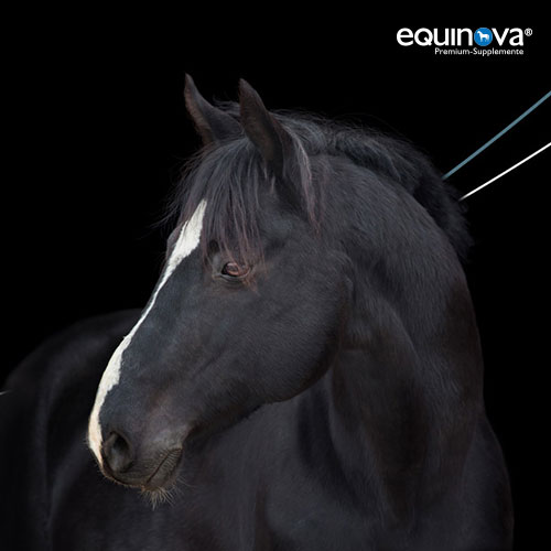 equinova®