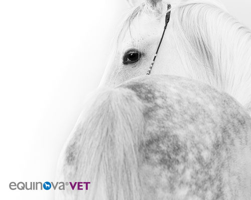 equinova®vet